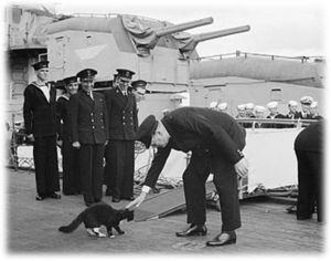 Уинстон Черчилль приветствует корабельный талисман «Принца Уэльского», кота Блэки.